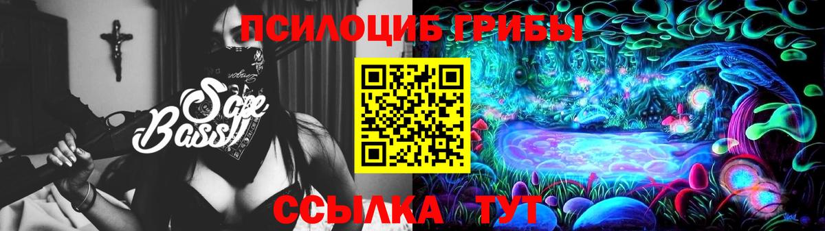 Галлюциногенные грибы ЛСД  Вход с VPN  Междуреченск 